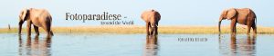FOTOPARADIESE_around_the_world_afrika_bis_nach_asien-header