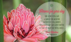 Flowers-for-your-day-quote