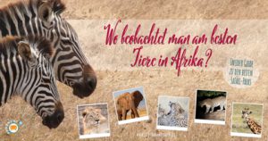 wo-beobachtet-man-am-besten-tiere-in-afrika-insider-guide-besten-safari-parks