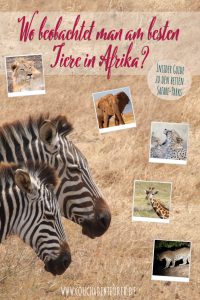 wo-beobachtet-man-am-besten-tiere-in-afrika-insider-guide-besten-safari-parks_Pinterest