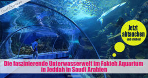 Die-faszinierende-Unterwasserwelt-Fakieh-Aquarium-Jeddah-Saudi-Arabien